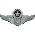AUFNÄHER - Fliegerabzeichen - 00851 - Gr. ca. 10 x 5 cm - Patches Stick Applikation