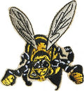 AUFNÄHER - Biene Hummel Wespe - 00767 - Gr. ca. 6 cm x 6cm - Patches Stick Applikation Bügel-Emblem