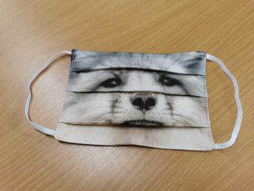 Behelfs-Gesichtsmaske Silberfuchs