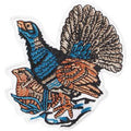 Aufnäher - Pfau - 04504 - Gr. ca. 9 x 9,5 cm - Patches Stick Applikation