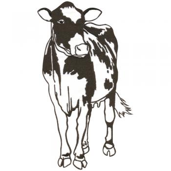 Aufnäher - Kuh Rind - 07320 - Gr. ca. 12cm x 28cm