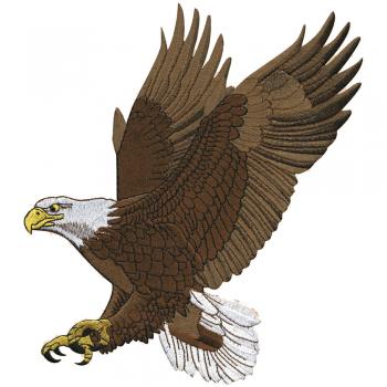 Aufnäher - Greifvogel - 07327 - Gr. ca. 25 x 15,5 cm - Patches Stick Applikation