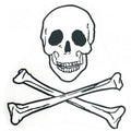 RÜCKENAUFNÄHER - Totenkopf - 08024 - Gr. ca. 21,5 x 24 cm - Patches Stick Applikation