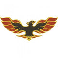 Aufnäher - Flammender Adler - 08604 - Gr. ca. 38 x 4 cm - Patches Stick Applikation