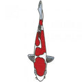 Rückenaufnäher Aufnäher - Koi Kohaku - KO858 - Gr. ca. 25-30 cm