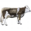 Aufnäher - Rind Ochse Bulle Kuh - 00998 - Gr. ca. 8 x 11cm